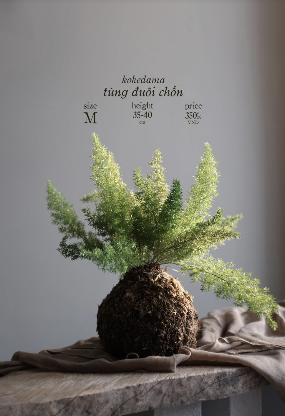 Screenshot 2024-08-22 at 12.01.13 PM